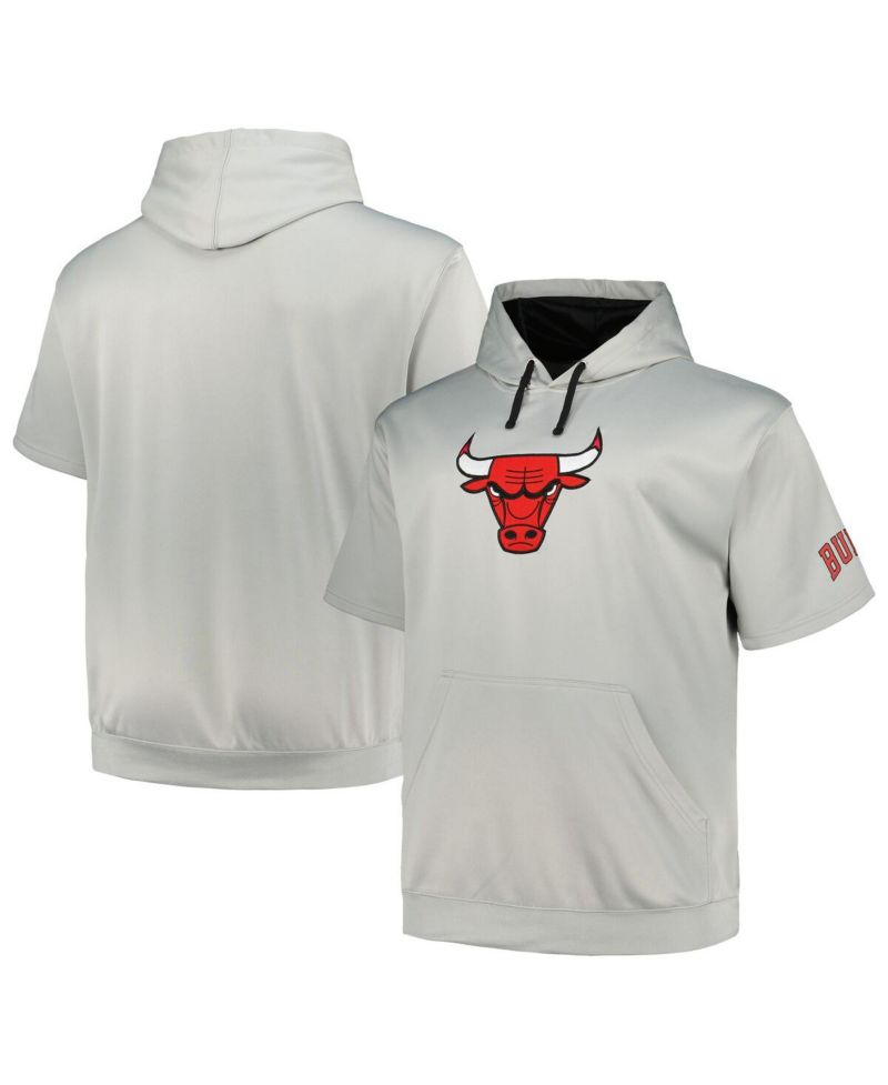 Men's Silver Chicago Bulls Big and Tall Logo Pullover Hoodie