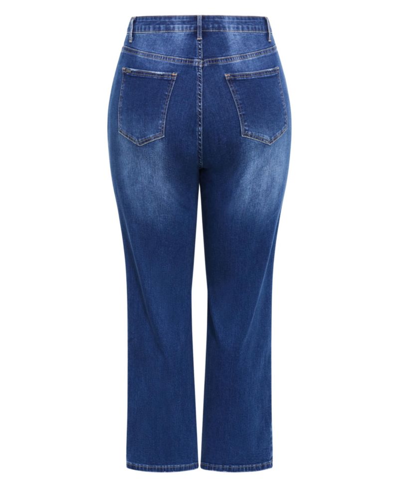 Women's Plus Size Harley Fit Dani Straight Leg Jean
