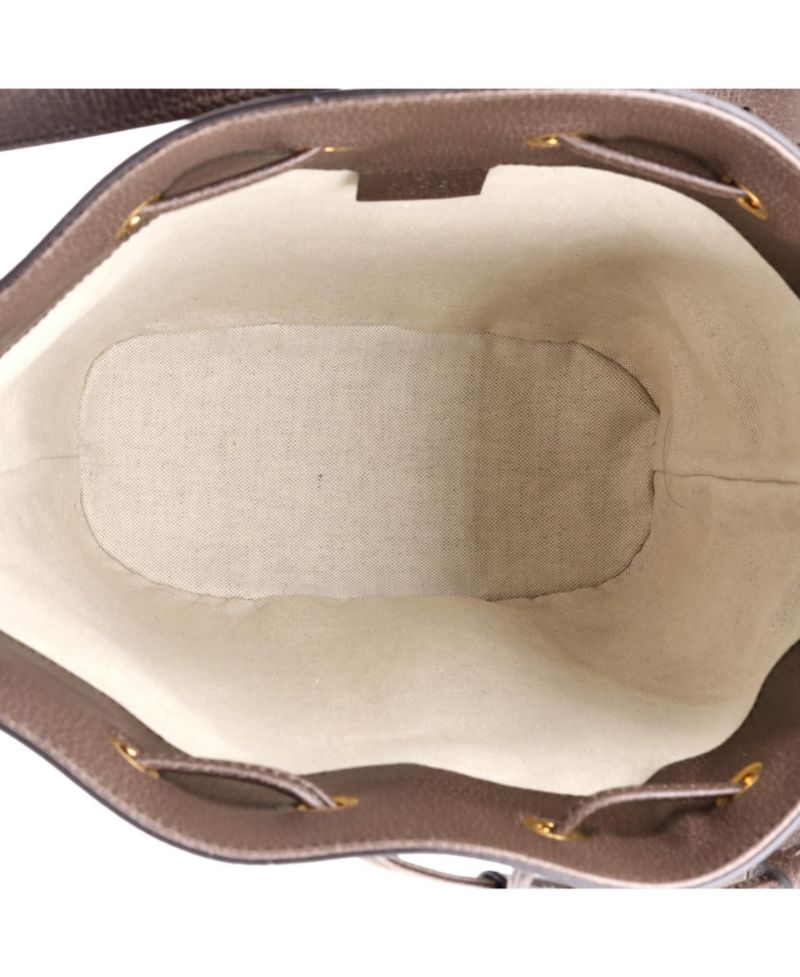 Medium Ophidia Bucket Bag GG Coated Canvas