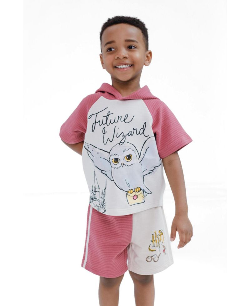 Baby Boys ( 0-24 M ) 2-Piece Hooded Tee and Shorts Set