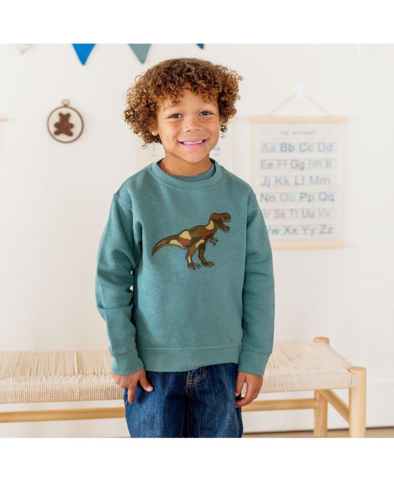 Baby Boys Camo Dino Patch Sweatshirt