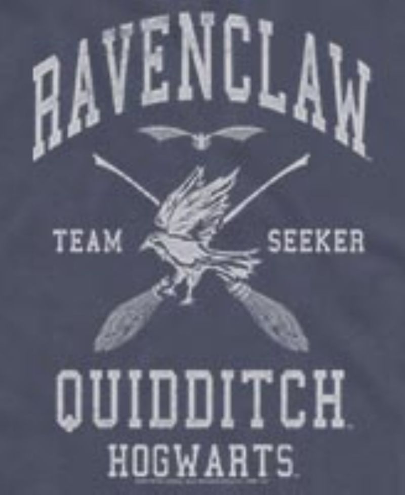 Men's Harry Potter Ravenclaw Quidditch Seeker Hogwarts Graphic Tank Top