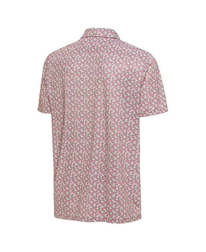 Men's Pink Georgia Bulldogs Desert Dry Dogwood Polo Shirt