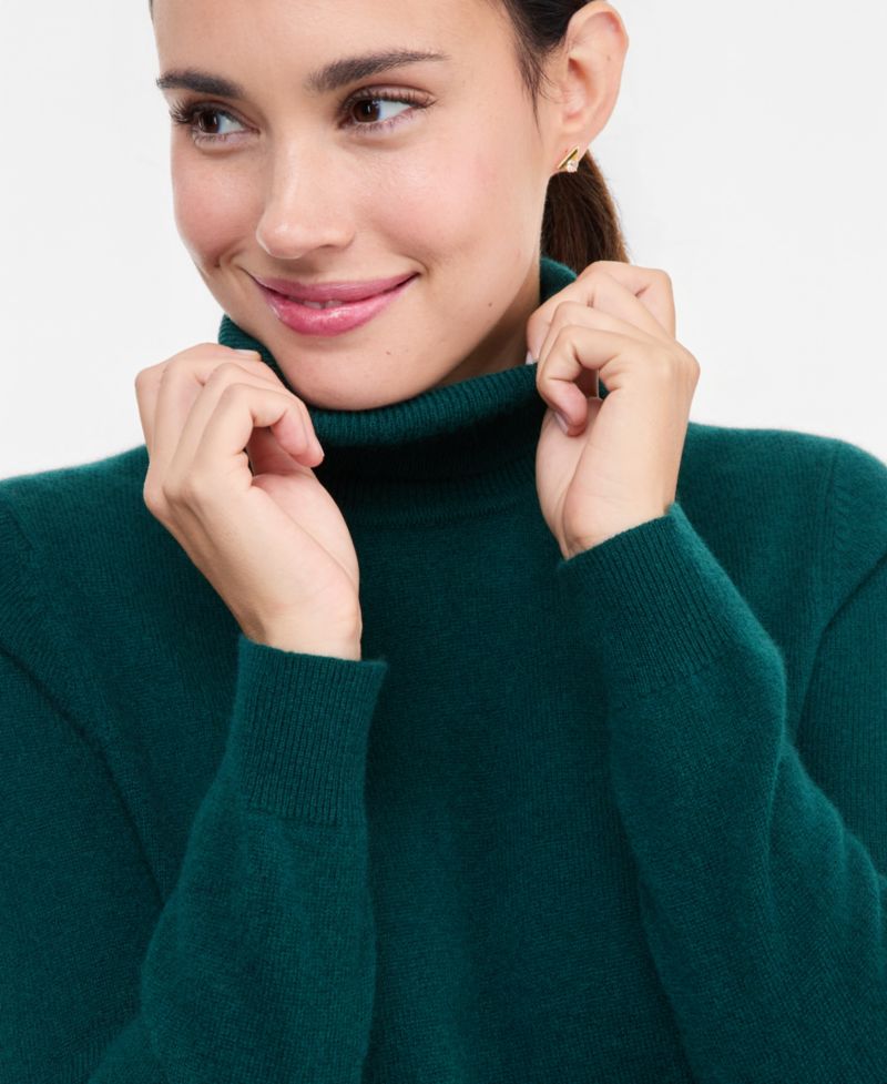 Petite Cashmere Turtleneck Sweater