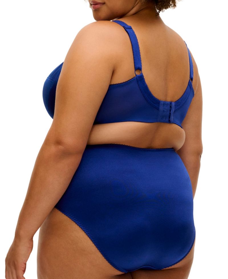 Plus Size Keira Full Coverage Brief