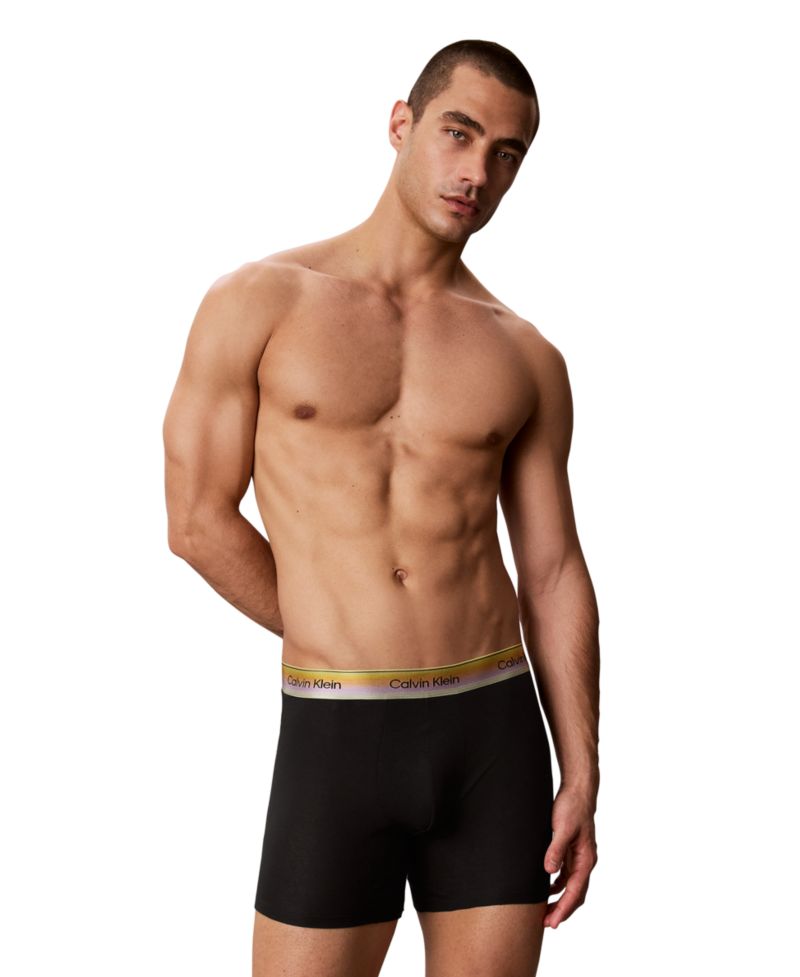 Men's Pride Cotton Classics Boxer Brief, 1-Pack