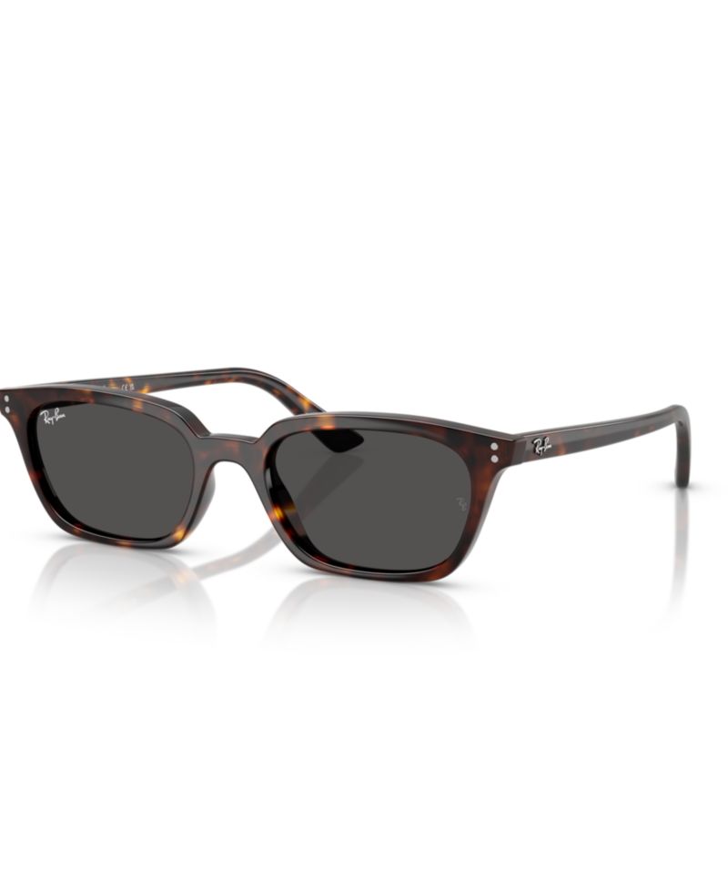 Unisex Sunglasses, Zaya RB4456