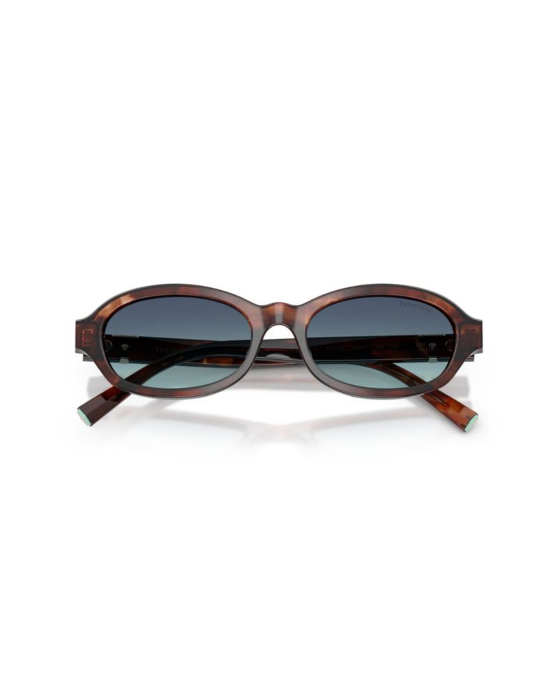 Women's Oval Blue Gradient Lenses Sunglasses TF4270U