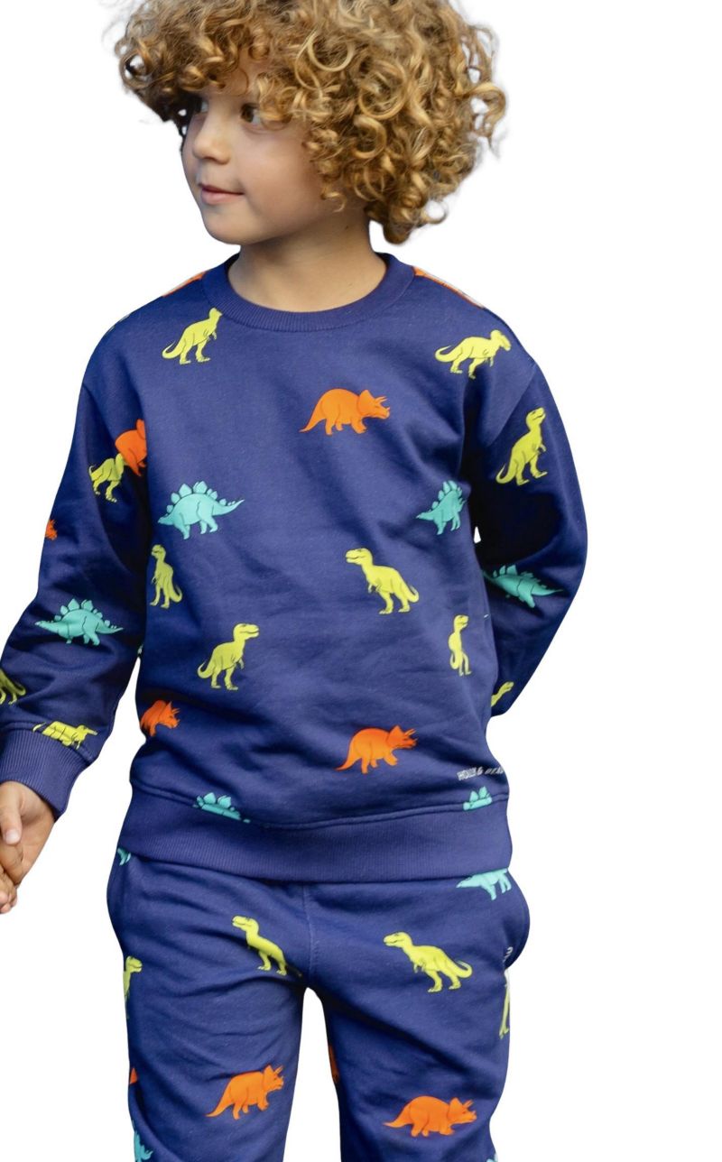 Little Boys Dinosaur Cotton Crew Neck Sweatshirt