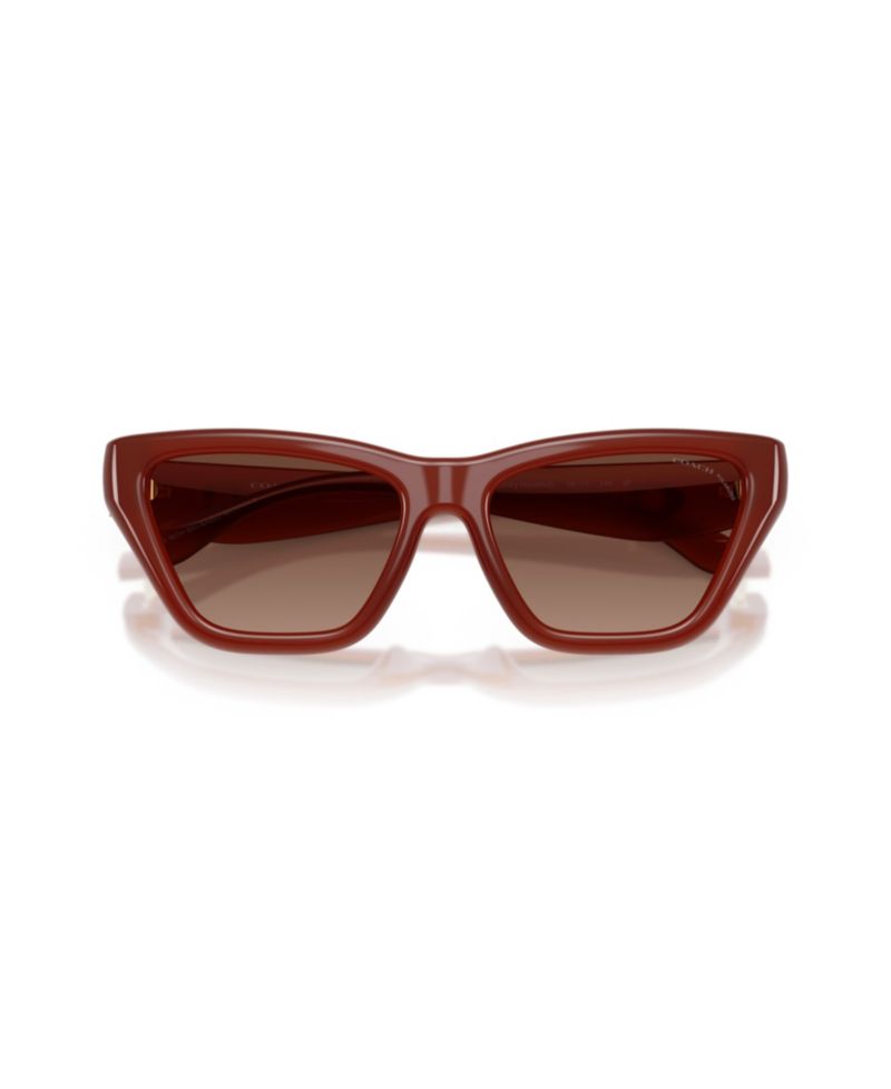 Women's Cat Eye Polarized Sunglasses, CDP33 HC8449U