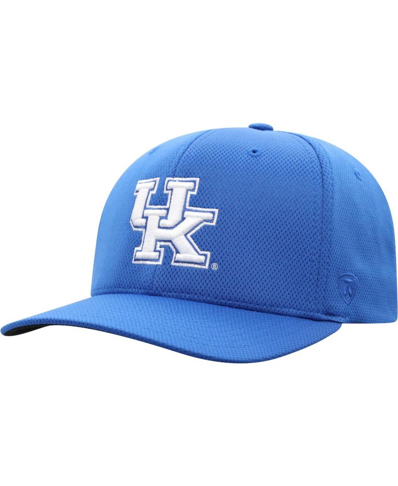 Men's Royal Kentucky Wildcats Reflex Logo Flex Hat