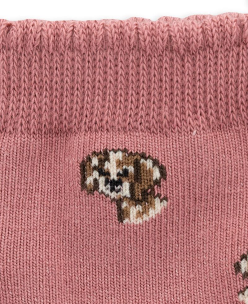 Baby Boys' Fair Isle Festive Dog Print Crew Socks, 3-Pack