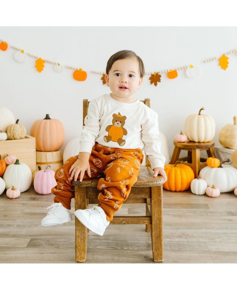 Baby Boys Pumpkin Teddy Bear Patch Long Sleeve Romper