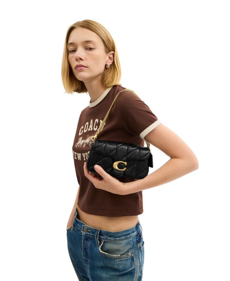 Tabby Mini Quilted Leather Chain Crossbody Bag 19