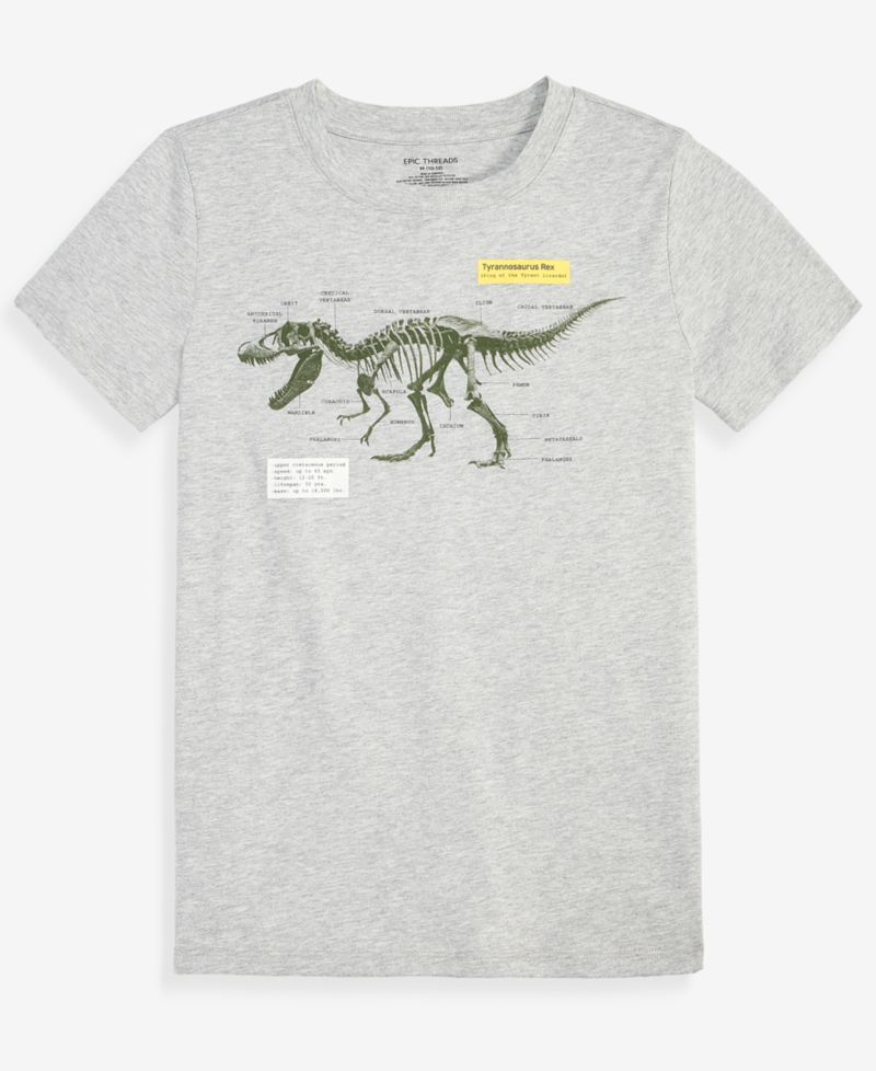 Boys' XS-XL Dinosaur Graphic T-Shirt