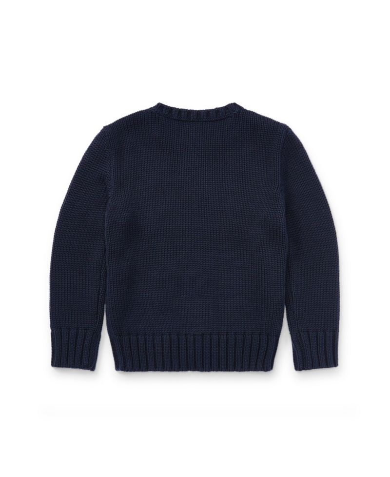 Toddler and Little Boys The Iconic Flag Sweater