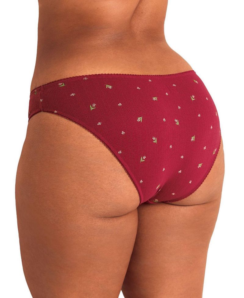 Plus Size Minah Bikini Panty