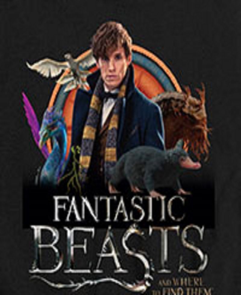 Big Boys Harry Potter Fantastic Beasts Graphic Tee