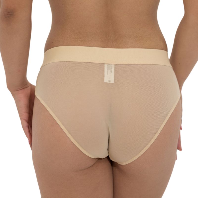 Women's Nude Shade Mesh Hipster Bikini Panty