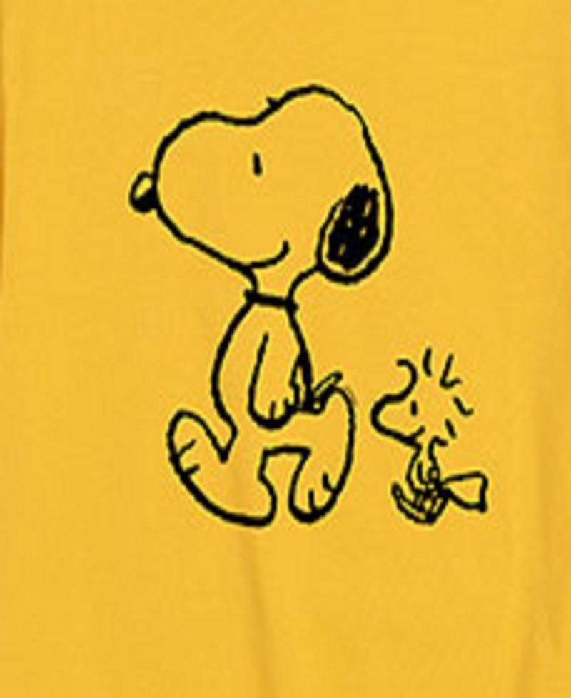 Big Boys Snoopy Woodstock Graphic Tee