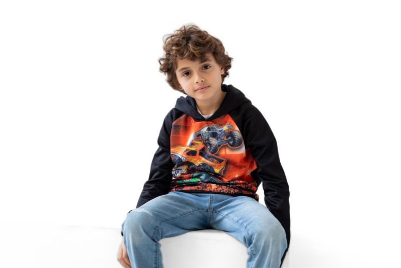 Little Boys Fleece Pullover Hoodie
