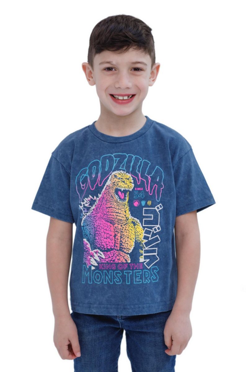 Little Boys Short Sleeve T-Shirt