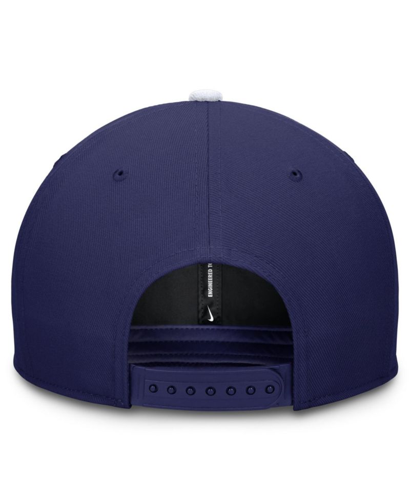 Men's Royal/White Los Angeles Dodgers Pro Dri-FIT snapback Hat