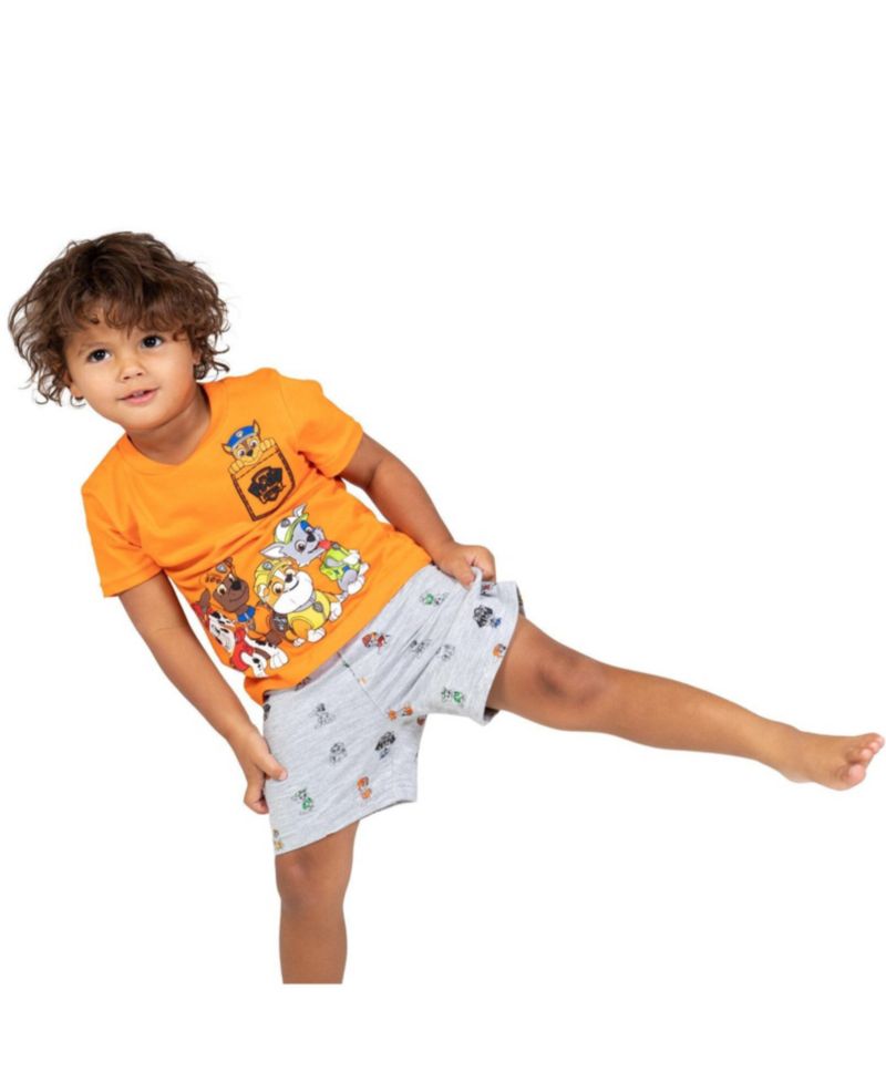 Little Boys 2-Piece T-Shirt and Shorts Set