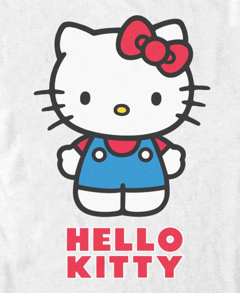 Men's Hello Kitty Classic Character Graphic T-Shirt