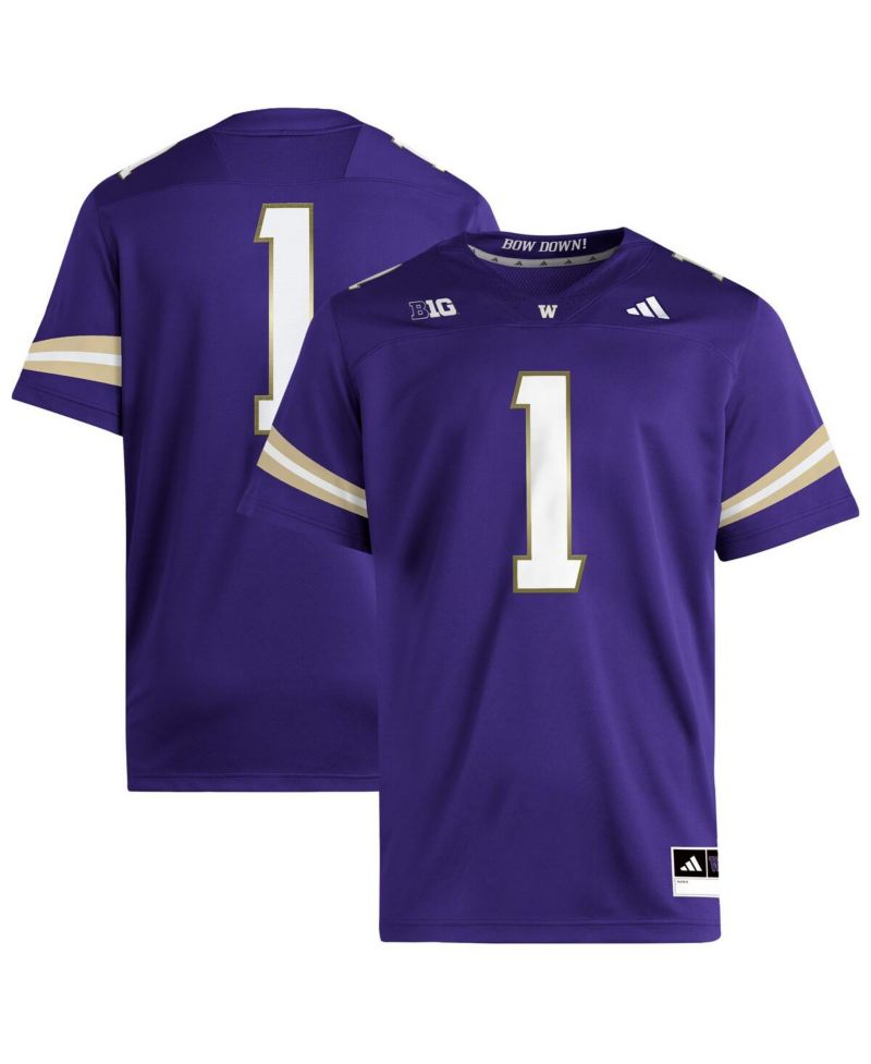Men's Purple Washington Huskies Premier Jersey