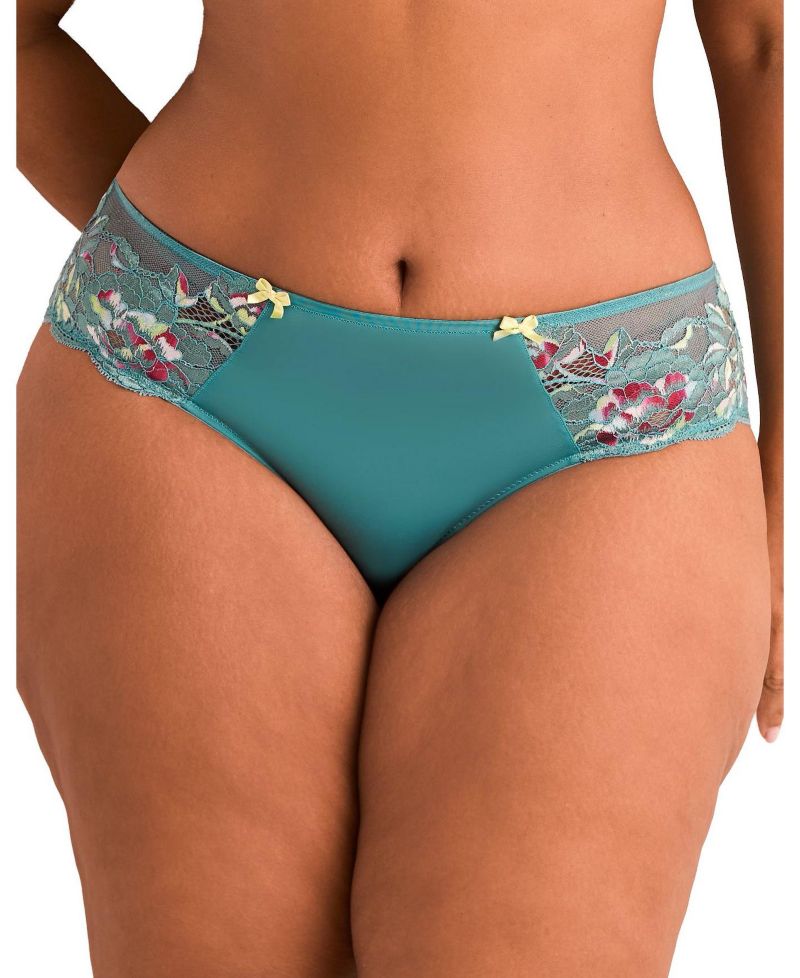 Plus Size Chelsi Hipster Panty