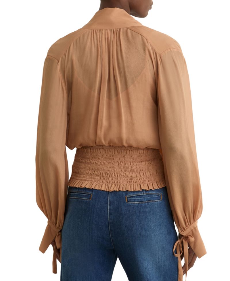 Women's Phoebe Long-Sleeve Sheer Tie-Neck Blouse