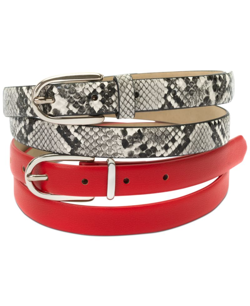 2-Pk Snake & Solid Belt