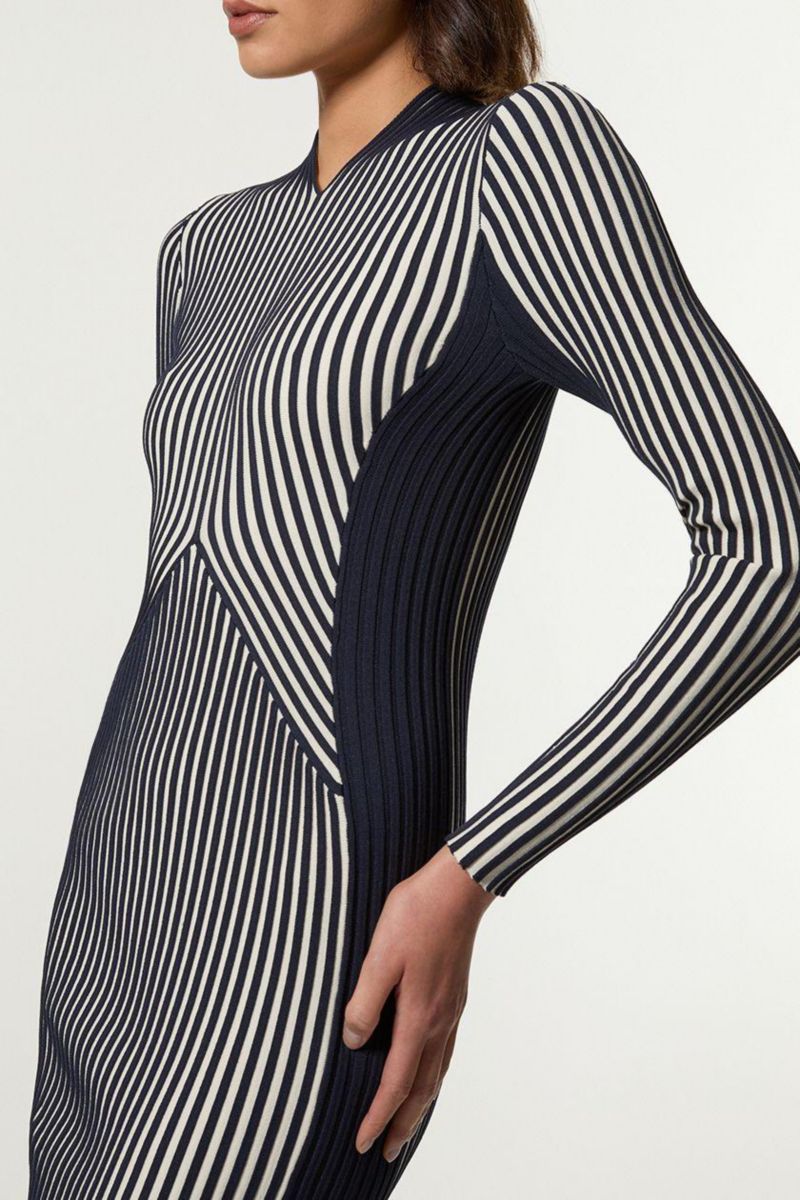 Women's Fitted Long Sleeve Midi Dress