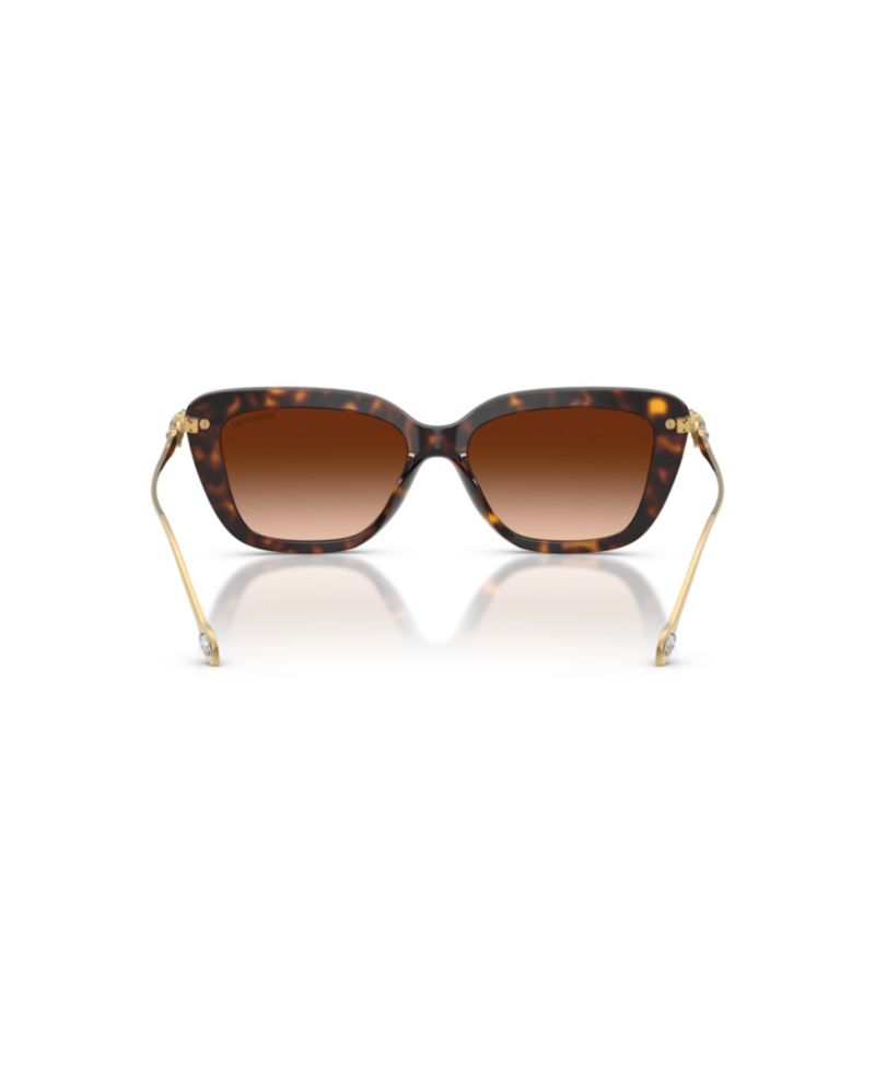 Women's Cat Eye Acetate Sunglasses SK6065U