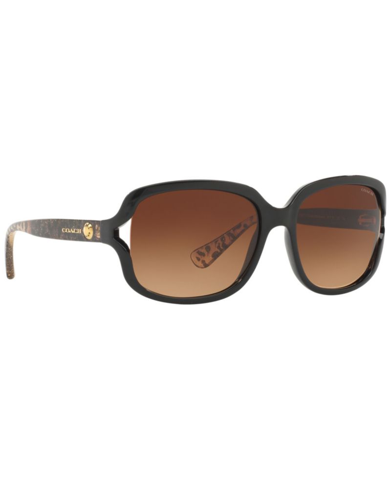 Sunglasses, HC8169