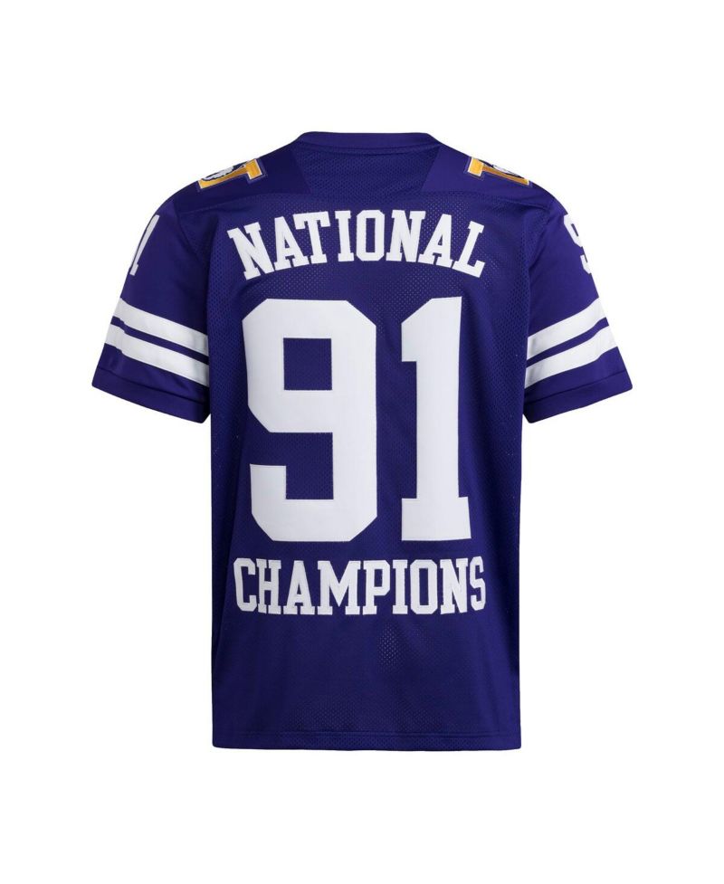 Men's Purple Washington Huskies 1991 National Championship Anniversary Icon Football Jersey