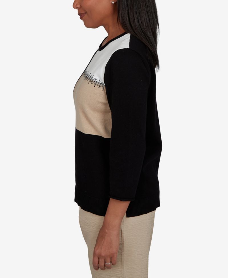 Women's Travel Advisory Neutral Colorblock Embellished Sweater