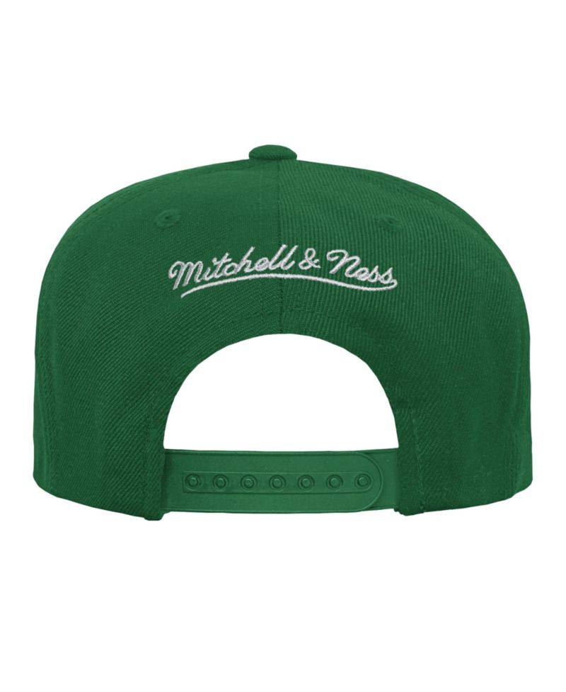 Big Boys and Girls Green Green Bay Packers Head Coach Flat Brim Snapback Hat