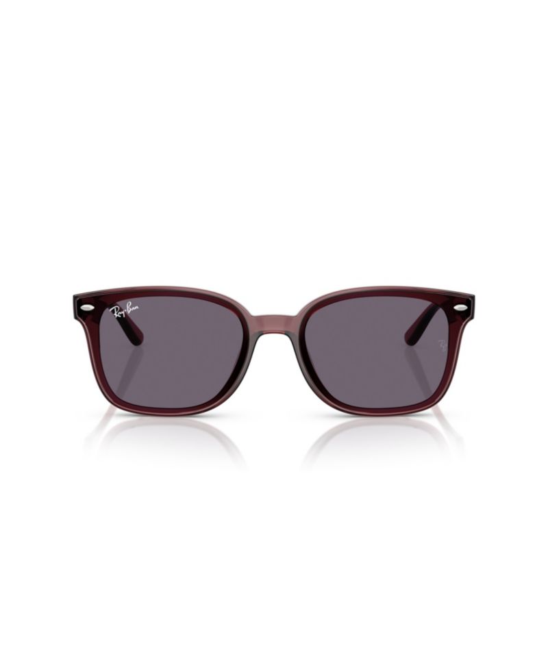 Unisex Round Face Sunglasses RB4461D