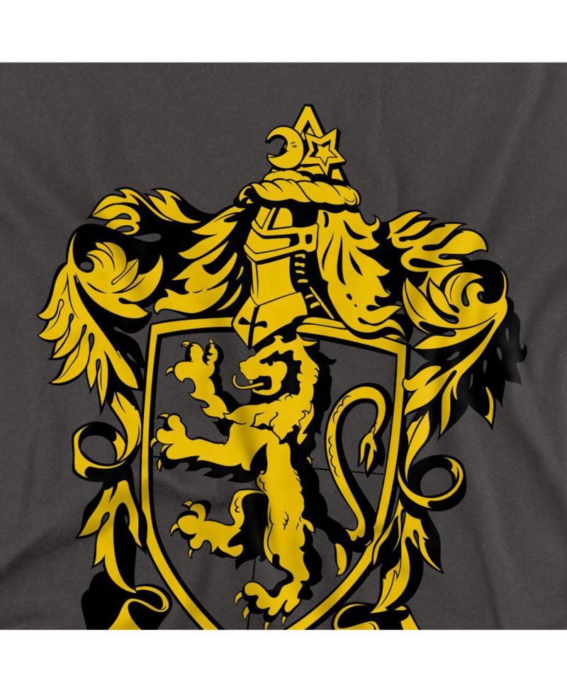 Big & Tall Gryffindor Crest T Shirt