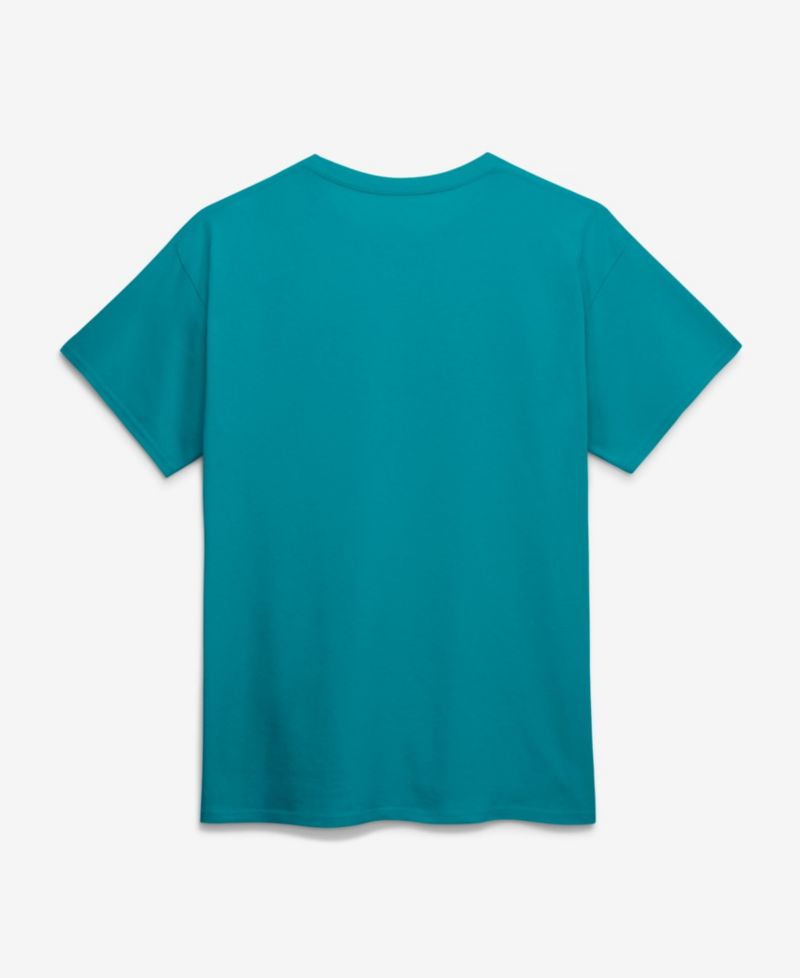 Men's Aqua Miami Dolphins Primary Logo T-Shirt