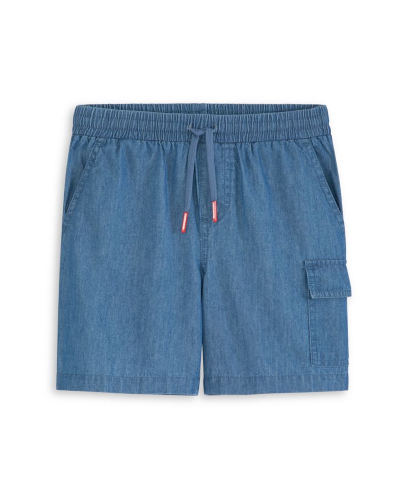 Little Boys 2-Piece Woven Shirt and Shorts Set
