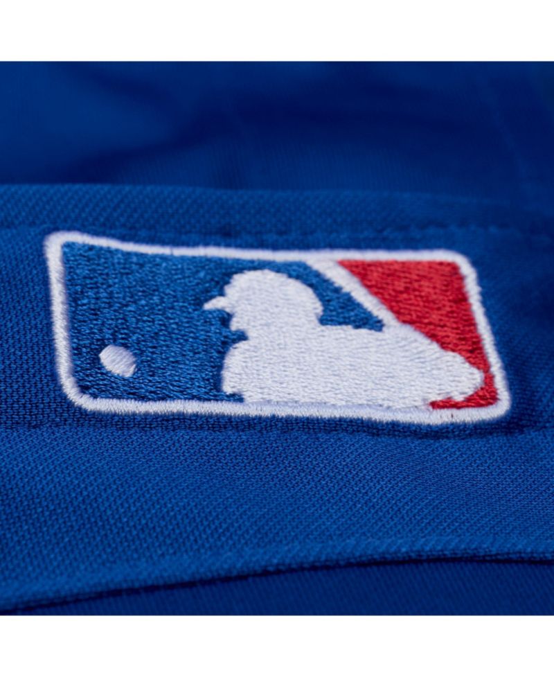 Men's Adrian Beltre Royal Texas Rangers Cooperstown Mesh Batting Practice Button-Up Jersey
