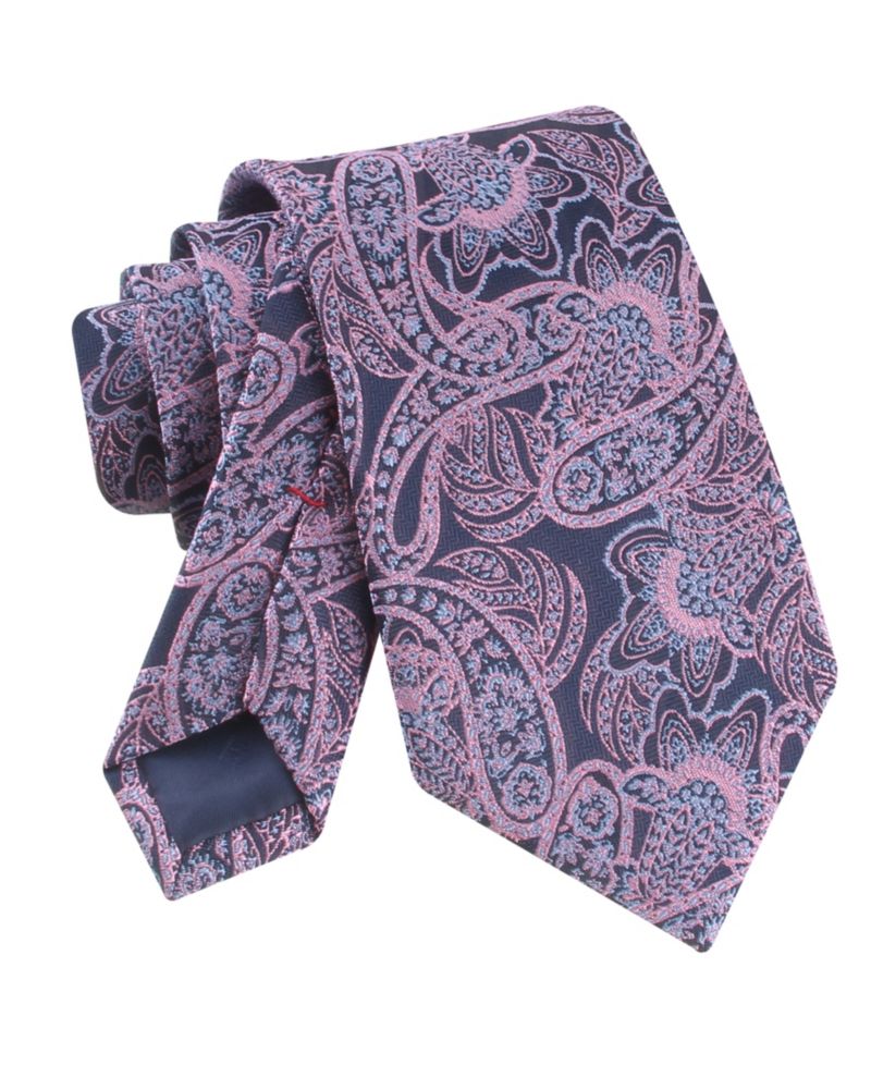 Men's Alpine Paisley Classic Tie