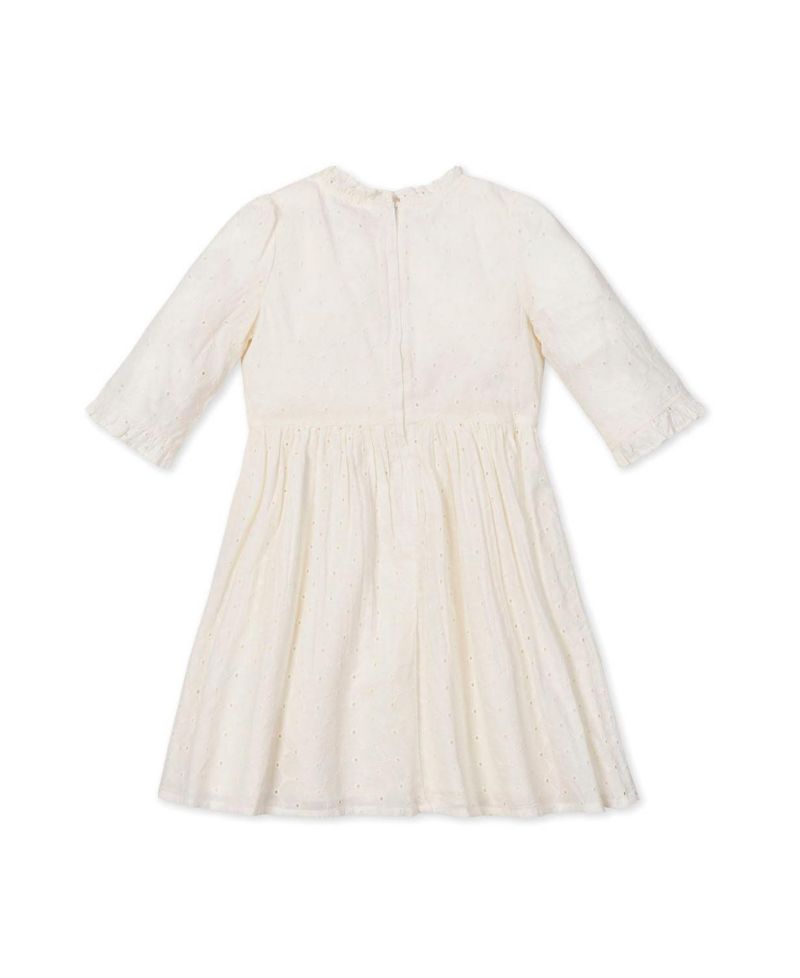 Toddler Girls Hope and Henry Organic Flutter Sleeve Tiered Eyelet Dress