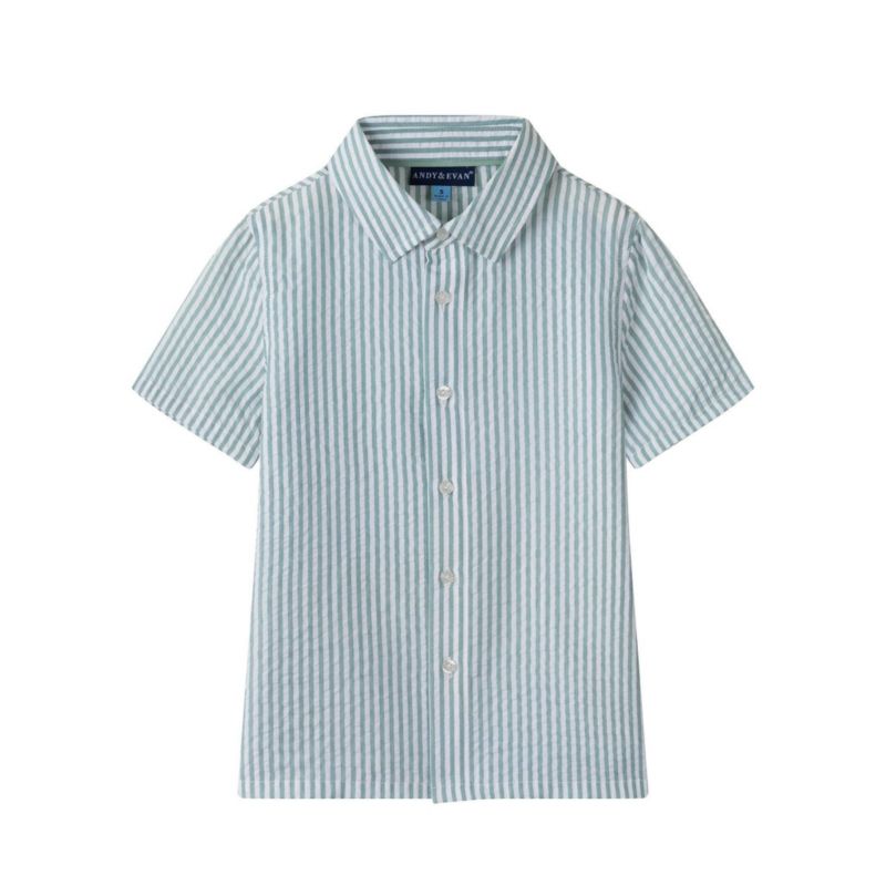 Toddler Boys Toddler/Child Teal Striped Buttondown and Linen Shorts Set