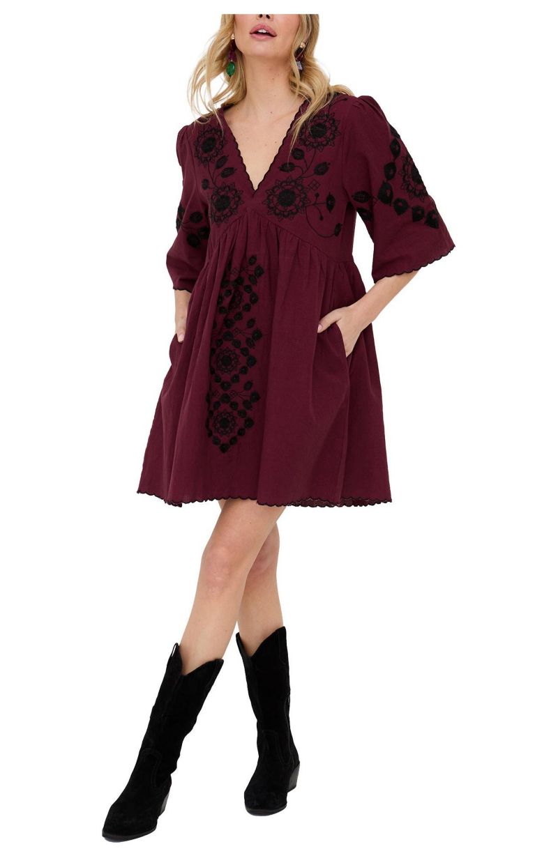 Women's Arabella V- Neck Embroidered Mini Dress