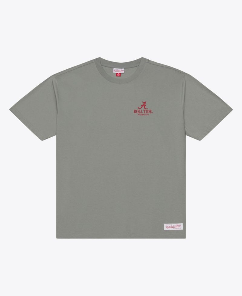 Men's Gray Alabama Crimson Tide Core Icon T-Shirt