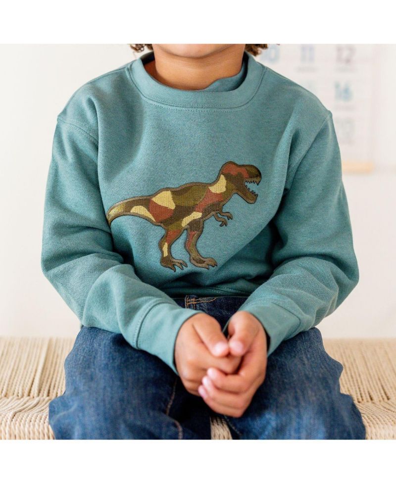 Baby Boys Camo Dino Patch Sweatshirt